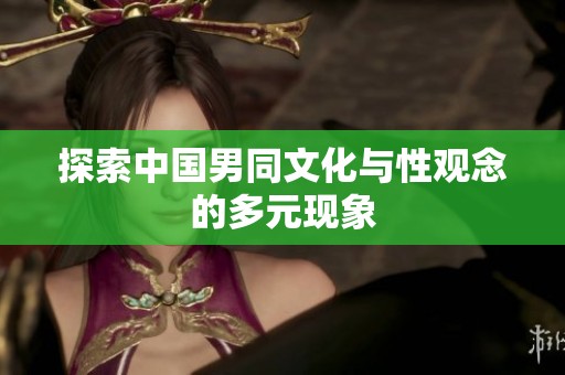 探索中国男同文化与性观念的多元现象