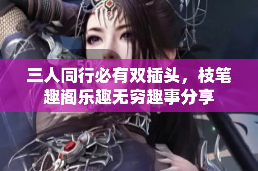 三人同行必有双插头，枝笔趣阁乐趣无穷趣事分享