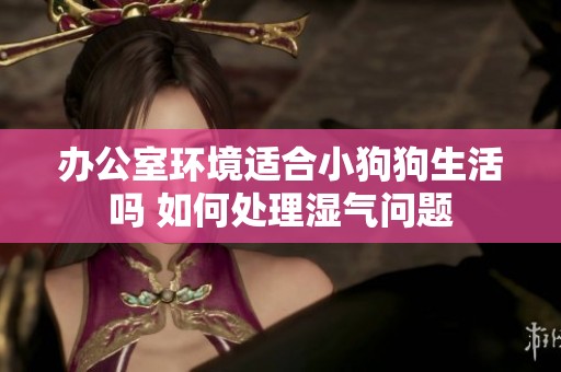 办公室环境适合小狗狗生活吗 如何处理湿气问题