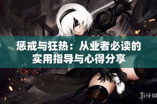 惩戒与狂热：从业者必读的实用指导与心得分享