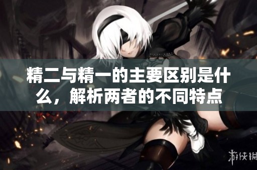 精二与精一的主要区别是什么，解析两者的不同特点