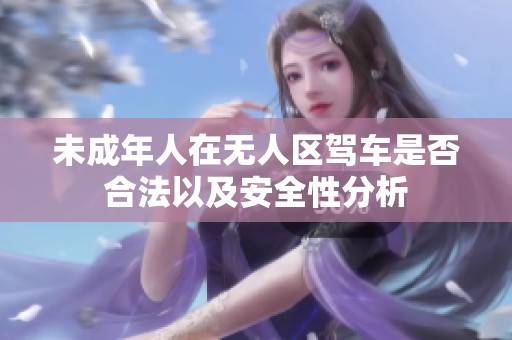 未成年人在无人区驾车是否合法以及安全性分析