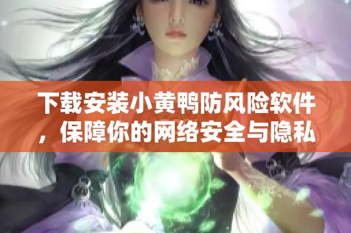 下载安装小黄鸭防风险软件，保障你的网络安全与隐私保护