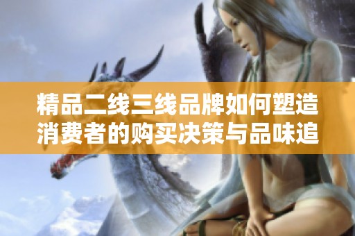 精品二线三线品牌如何塑造消费者的购买决策与品味追求