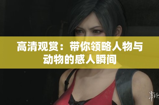 高清观赏：带你领略人物与动物的感人瞬间