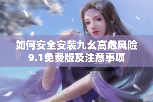 如何安全安装九幺高危风险9.1免费版及注意事项