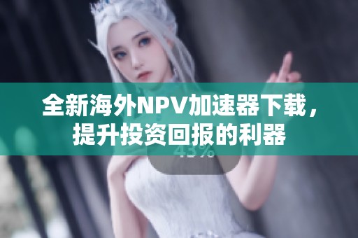 全新海外NPV加速器下载，提升投资回报的利器