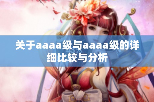 关于aaaa级与aaaa级的详细比较与分析