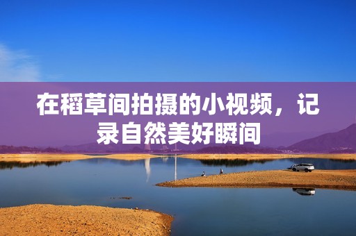 在稻草间拍摄的小视频，记录自然美好瞬间