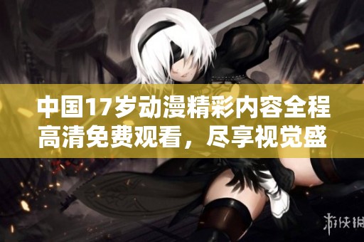 中国17岁动漫精彩内容全程高清免费观看，尽享视觉盛宴