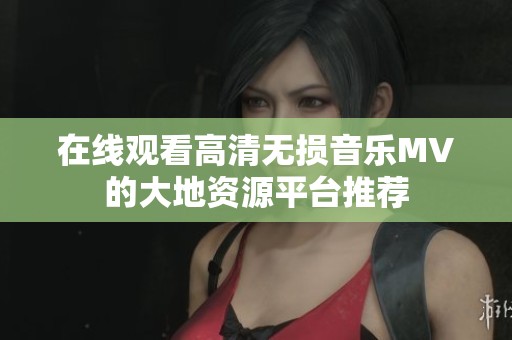 在线观看高清无损音乐MV的大地资源平台推荐