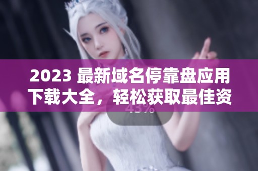 2023 最新域名停靠盘应用下载大全，轻松获取最佳资源