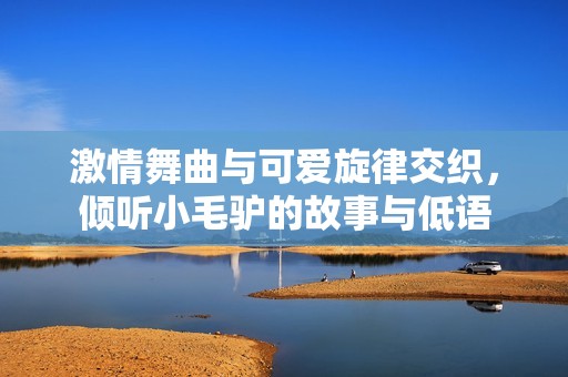 激情舞曲与可爱旋律交织，倾听小毛驴的故事与低语