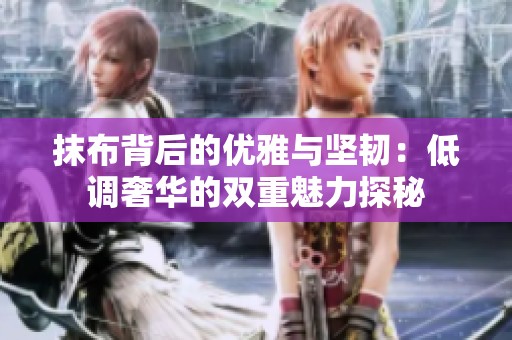 抹布背后的优雅与坚韧：低调奢华的双重魅力探秘