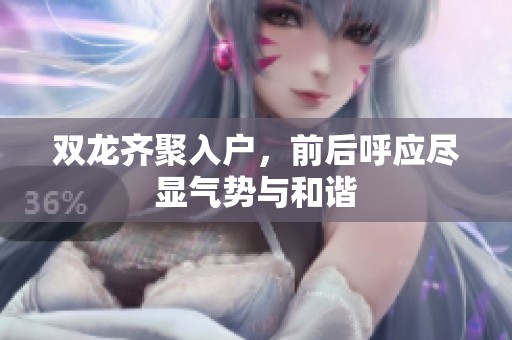 双龙齐聚入户，前后呼应尽显气势与和谐