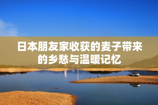 日本朋友家收获的麦子带来的乡愁与温暖记忆