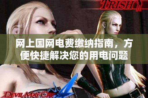 网上国网电费缴纳指南，方便快捷解决您的用电问题