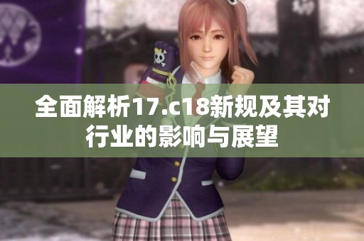 全面解析17.c18新规及其对行业的影响与展望