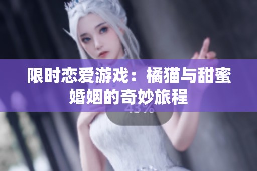 限时恋爱游戏：橘猫与甜蜜婚姻的奇妙旅程