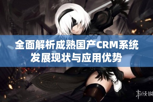 全面解析成熟国产CRM系统发展现状与应用优势
