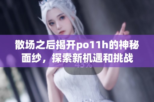 散场之后揭开po11h的神秘面纱，探索新机遇和挑战