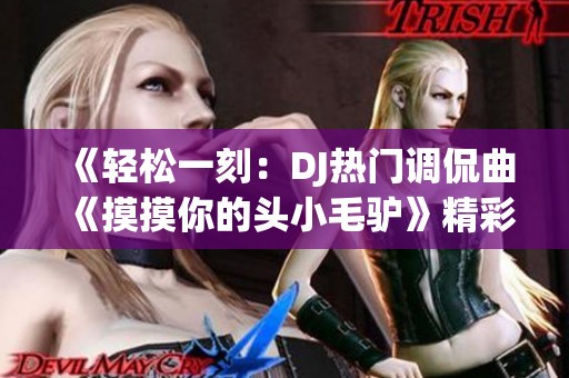 《轻松一刻：DJ热门调侃曲《摸摸你的头小毛驴》精彩回顾》