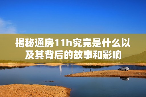 揭秘通房11h究竟是什么以及其背后的故事和影响