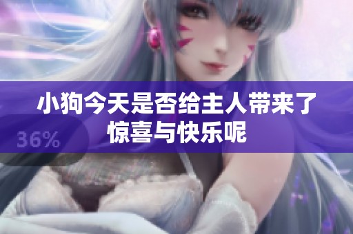 小狗今天是否给主人带来了惊喜与快乐呢