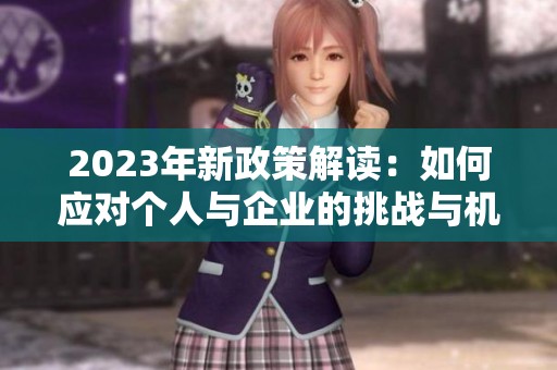 2023年新政策解读：如何应对个人与企业的挑战与机遇