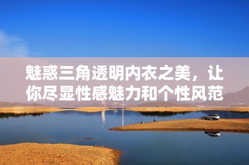 魅惑三角透明内衣之美，让你尽显性感魅力和个性风范