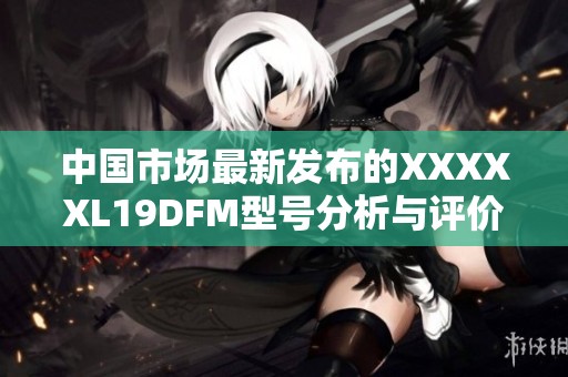 中国市场最新发布的XXXXXL19DFM型号分析与评价