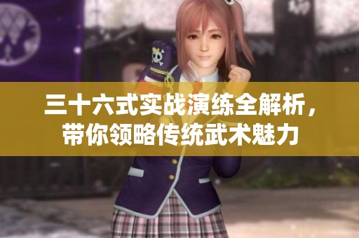 三十六式实战演练全解析，带你领略传统武术魅力