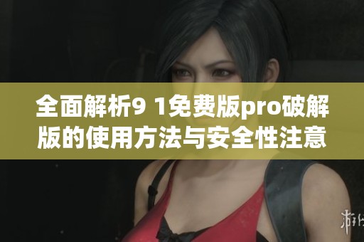 全面解析9 1免费版pro破解版的使用方法与安全性注意事项