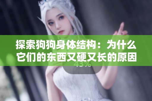 探索狗狗身体结构：为什么它们的东西又硬又长的原因分析