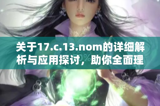 关于17.c.13.nom的详细解析与应用探讨，助你全面理解这一重要标准