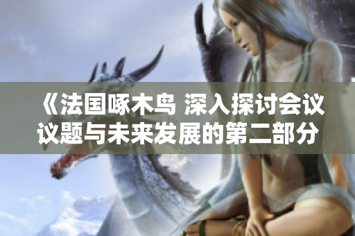 《法国啄木鸟 深入探讨会议议题与未来发展的第二部分》