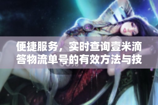便捷服务，实时查询壹米滴答物流单号的有效方法与技巧