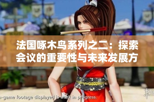 法国啄木鸟系列之二：探索会议的重要性与未来发展方向
