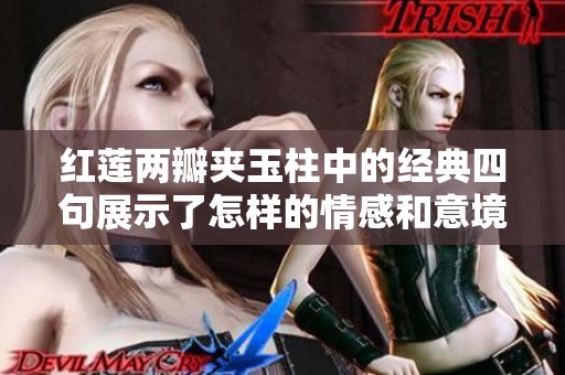 红莲两瓣夹玉柱中的经典四句展示了怎样的情感和意境