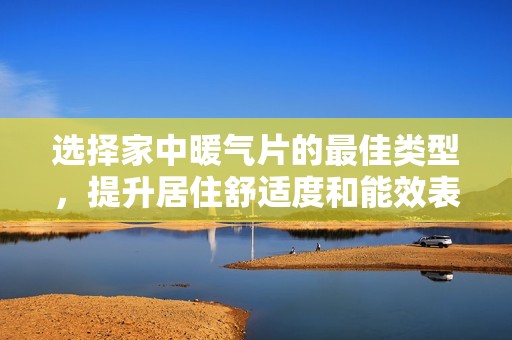选择家中暖气片的最佳类型，提升居住舒适度和能效表现