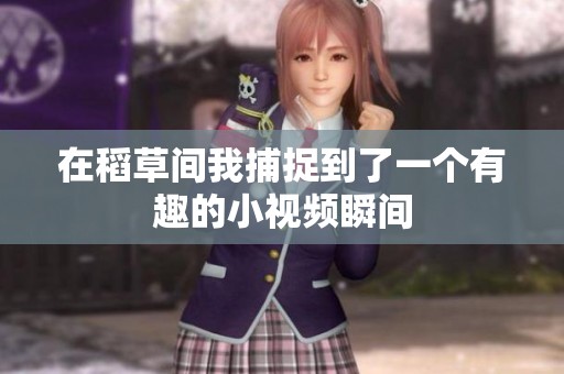 在稻草间我捕捉到了一个有趣的小视频瞬间