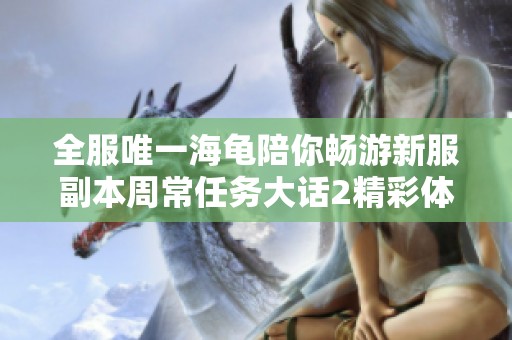 全服唯一海龟陪你畅游新服副本周常任务大话2精彩体验！
