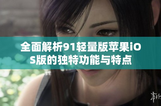 全面解析91轻量版苹果iOS版的独特功能与特点