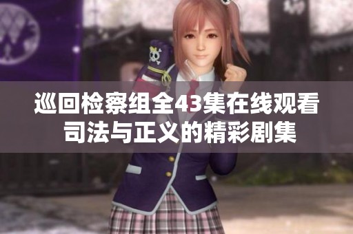 巡回检察组全43集在线观看 司法与正义的精彩剧集