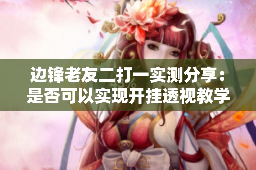 边锋老友二打一实测分享：是否可以实现开挂透视教学详细解析