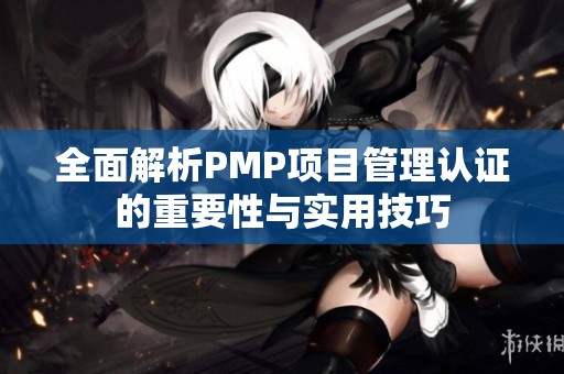 全面解析PMP项目管理认证的重要性与实用技巧