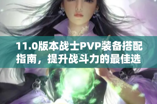 11.0版本战士PVP装备搭配指南，提升战斗力的最佳选择