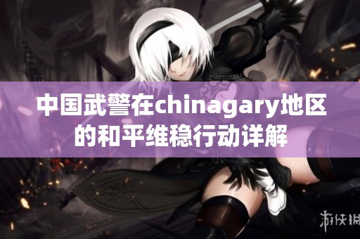 中国武警在chinagary地区的和平维稳行动详解