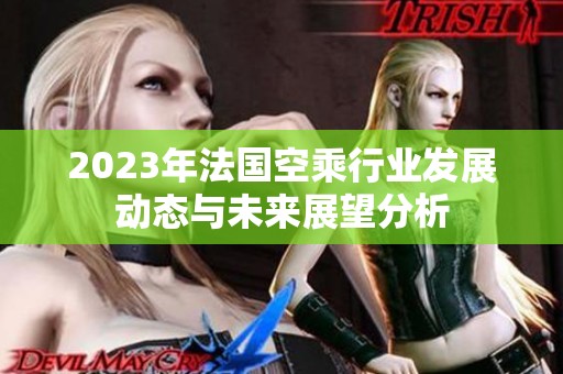2023年法国空乘行业发展动态与未来展望分析