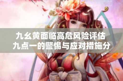 九幺黄面临高危风险评估 九点一的警惕与应对措施分析